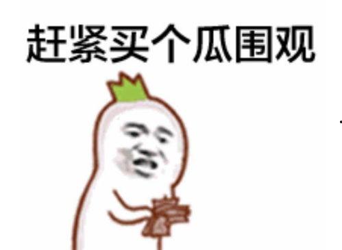 吃瓜表情说明什么,揭秘网络社交中的窥探与娱乐 第2张 吃瓜表情说明什么,揭秘网络社交中的窥探与娱乐 第2张