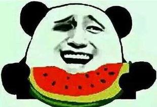 娱乐圈吃瓜群众是谁啊,揭秘那些热衷于八卦的明星粉丝群体  第2张